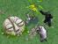 SimAnimals Afrika