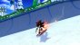 Mario & Sonic bei den Olympischen Winterspielen