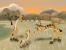SimAnimals Afrika
