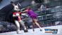 RTL Winter Sports 2010: The Great Tournament