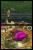 The Legend of Zelda: Spirit Tracks