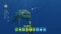 Endless Ocean 2: Der Ruf des Meeres