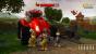 Chicken Riot