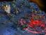 Starcraft 2: Wings of Liberty