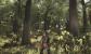 Arcania: Gothic 4