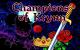 Champions of Krynn Amiga Startbildschirm 1990 