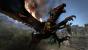 Dragon's Dogma (6)