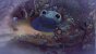 Islands of Wakfu