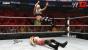 WWE 12