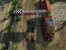 Reckless Racing HD