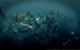 Anno 2070