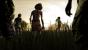 The Walking Dead (8)