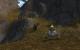 World of Warcraft: Mists of Pandaria im Gamezone-Test (10)