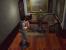 Jill-Sandwich: Die Playstation Classic ist ab 16 Jahren freigegeben. Resident Evil ist geschnitten und zudem komplett in Englisch &nbsp;…