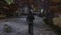 Sleeping Dogs (23)