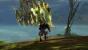 Guild Wars 2 (27)