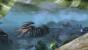 Guild Wars 2 (25)