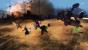 Guild Wars 2 (24)
