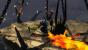 Guild Wars 2 (9)