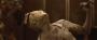 Silent Hill: Revelation 3D (7)