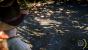 Hitman: Absolution (13)