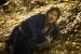 Bilbo Beutlin (Martin Freeman) ist der Meisterdieb, der Smaug ein Juwel stehlen soll.