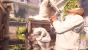 Bioshock Infinite im Gamezone-Test: Screenshots von der PC-Version (26)