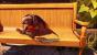 Bioshock Infinite im Gamezone-Test: Screenshots von der PC-Version (44)