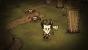 Don't Starve für Playstation 4 im Test (Screenshots vom PC) (4)