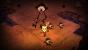 Don't Starve für Playstation 4 im Test (Screenshots vom PC) (1)