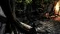 Dark Souls 2 (8)