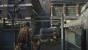 The Last of Us (1)