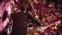 Killer is Dead im Test: Extravagant, skurril, verwirrend. (4)