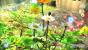 Pikmin 3 im Test (1)