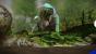 Pikmin 3 im Test (7)