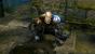 Dark Souls 2 (2)