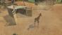 Zoo Tycoon für Xbox One im Test (3)