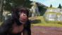 Zoo Tycoon für Xbox One im Test (5)