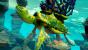 Disney Fantasia: Music Evolved im Test (1)
