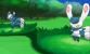 Pokémon X und Y (37)