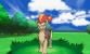 Pokémon X und Y (34)