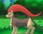 Pokémon X und Y (33)