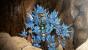 Knack für Playstation 4 im Test (11)
