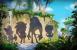 Sonic Lost World für 3DS und Wii U im Test (1)