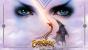 Everquest: Secrets of Faydwer: Die letzte Erweiterung für Everquest, bei der sich die bekannte Magierin der vorherigen Titel noch auf der Hülle befindet. Die Maximalstufe wurde auf 80 erhöht und neue Gebiete sowie Charaktere und Fähigkeiten sind für Spieler zugänglich. Im November 2007 erschienen, müsst Ihr in der Expansion dem bösen Gnom-Necromancer Meldrath the Malignant das Handwerk legen.