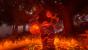 Fable Anniversary im Test (3)