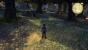 Fable Anniversary im Test (13)