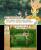 Hometown Story im Schnellcheck