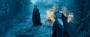 Maleficent (9)