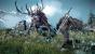 The Witcher 3: Wild Hunt (16)